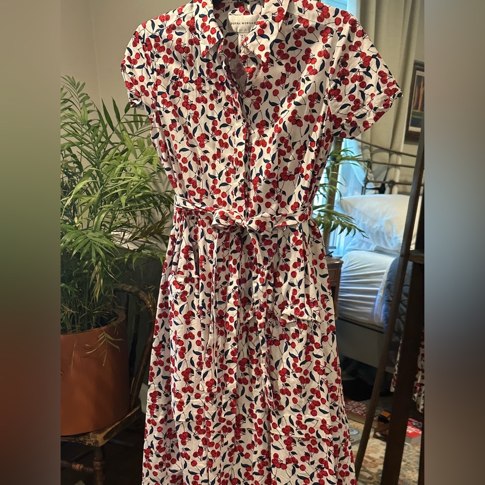 Beautiful Cherry Dress - Size 6